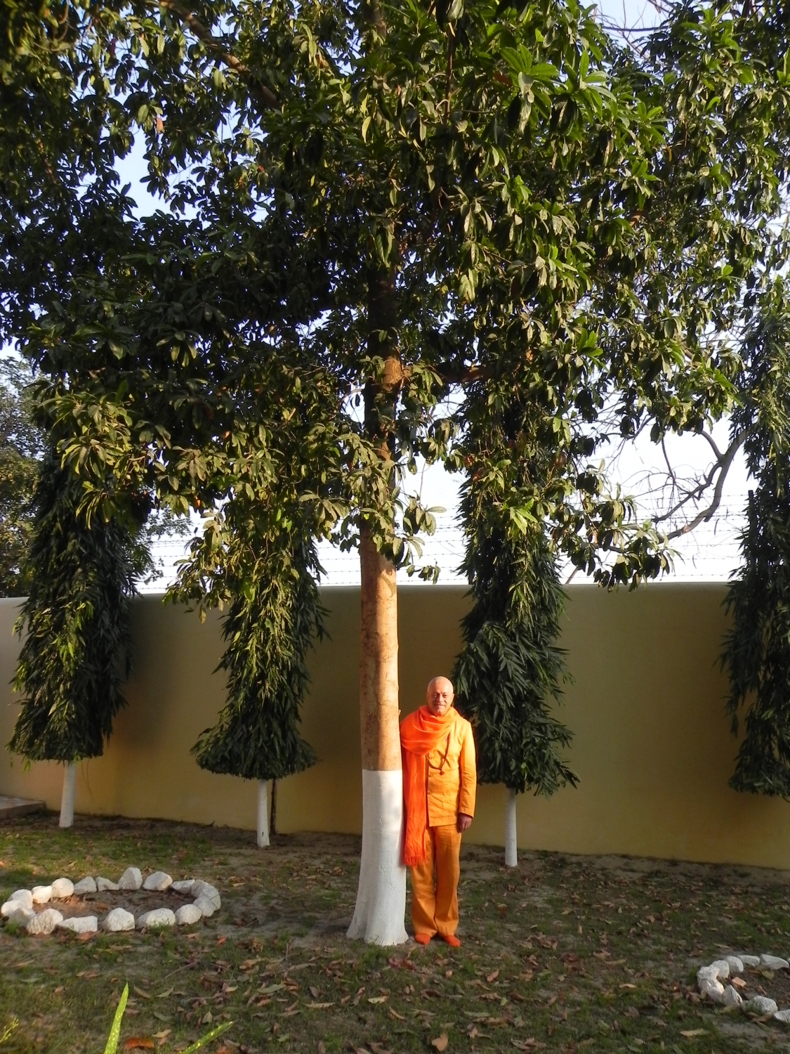 Encontro de H.H. Jagat Guru Amrta Sūryānanda Mahā Rāja com Svámin Súryaprakash e Svámin Niranjanánanda - Bihar School of Yoga, Munger, Índia – 2011